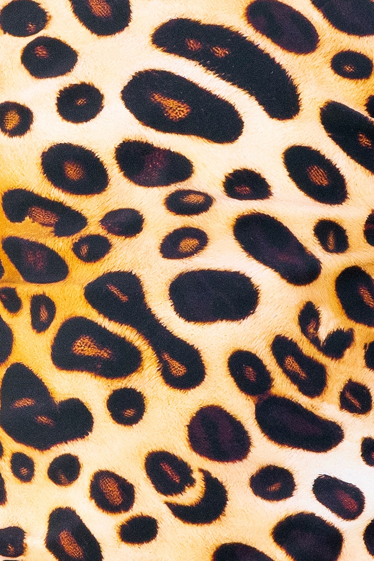 Candice One Piece Final Sale - Cheetah Fever