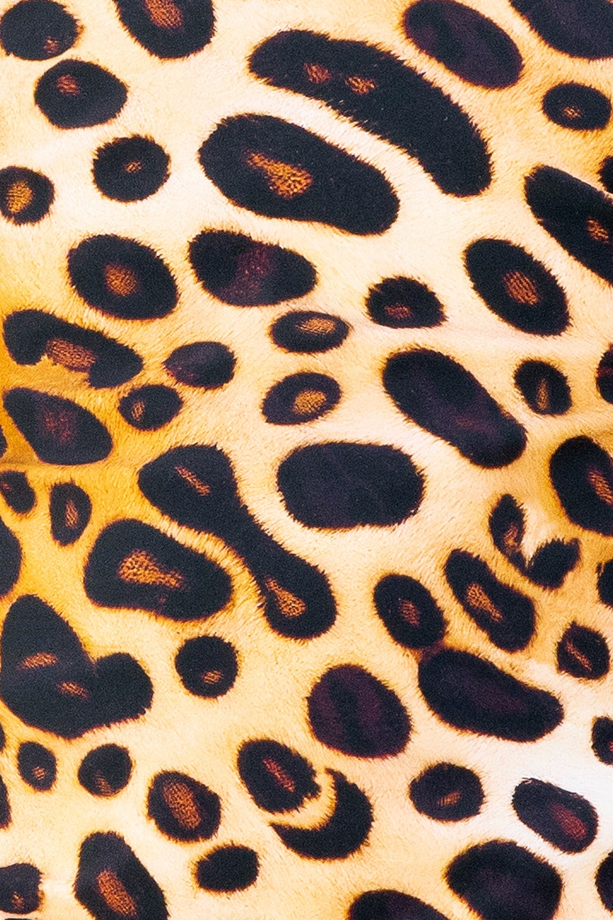 Ginger Bikini Bottom Final Sale - Cheetah Fever